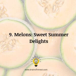 Select the Best Fruits and Vegetables during the Summer Season for Your Plate / brain of interest