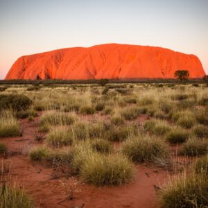 Visit Uluru's Outback environment / Brain Of Interest