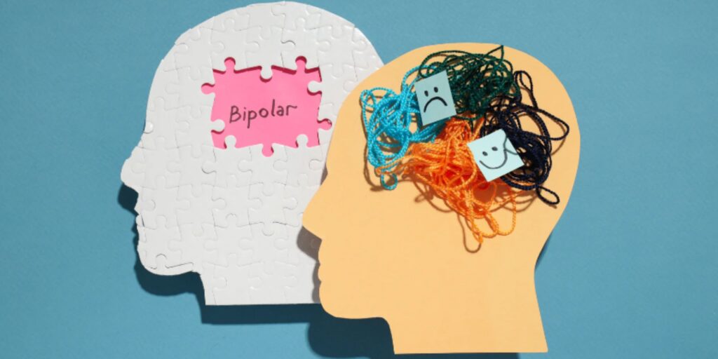 Understanding Bipolar Disorder Symptoms and Treatments / Brain Of Interest