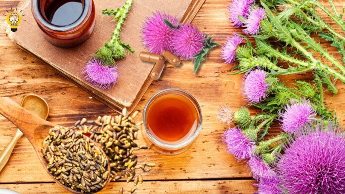 Milk Thistle: The Ultimate Guide to Its Health Benefits | Brain Of Interest