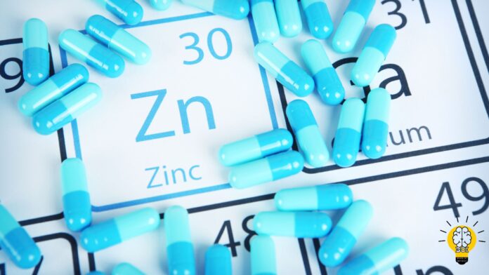 Best Zinc Supplements to Boost Your Health in 2024 | Brain Of Interest