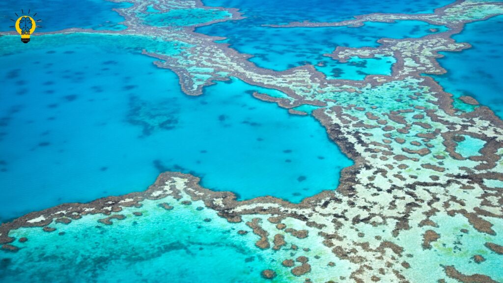 Exploring the Great Barrier Reef: A Complete Travel Guide | Brain Of Interest