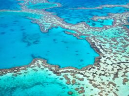 Exploring the Great Barrier Reef: A Complete Travel Guide | Brain Of Interest